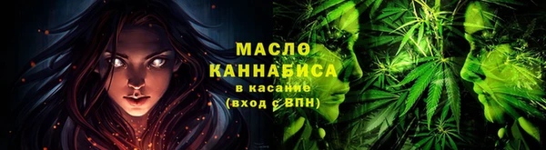 гидра Кодинск