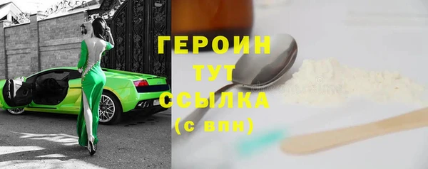 гидра Кодинск