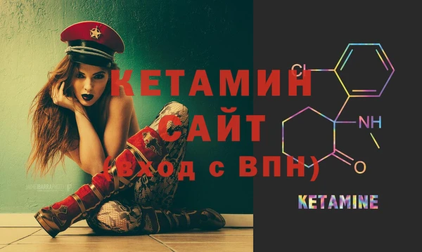 гидра Кодинск