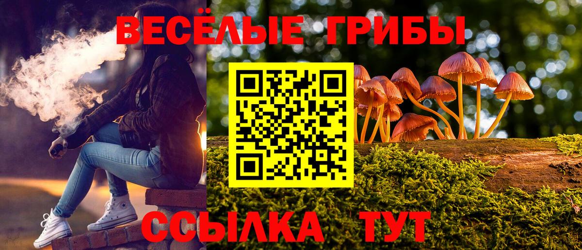 Галлюциногенные грибы Cubensis  Назрань 