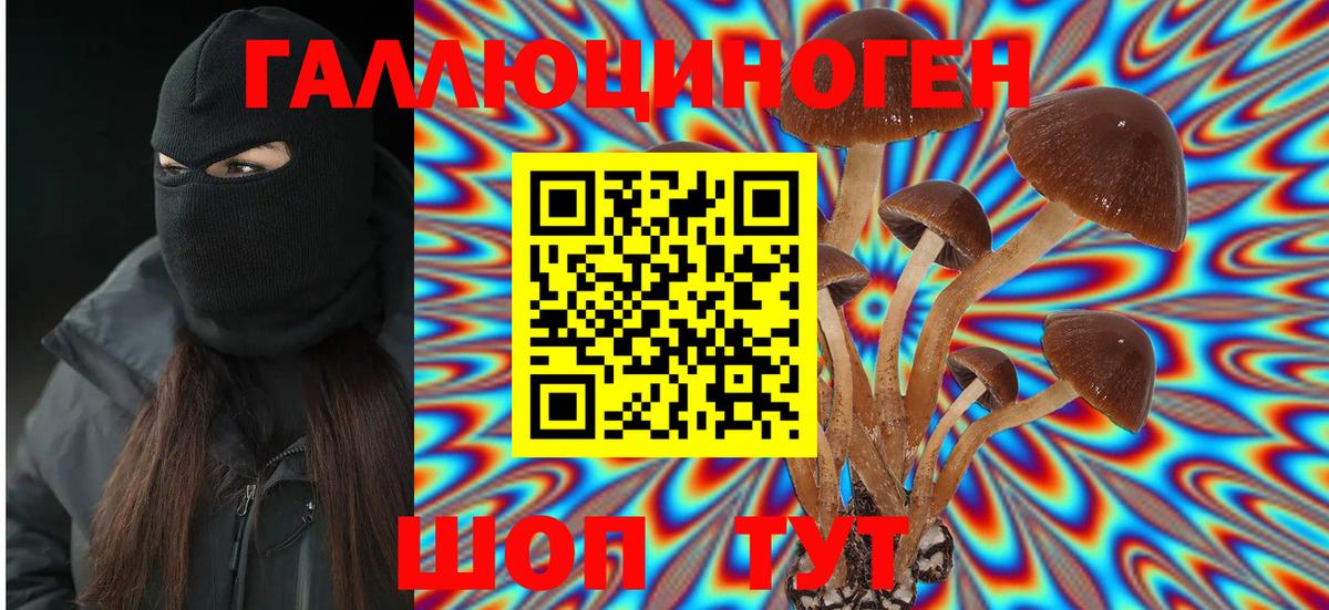 как найти закладки  Вход с VPN  Псилоцибиновые грибы MAGIC MUSHROOMS  Назрань  Галлюциногенные грибы Cubensis 